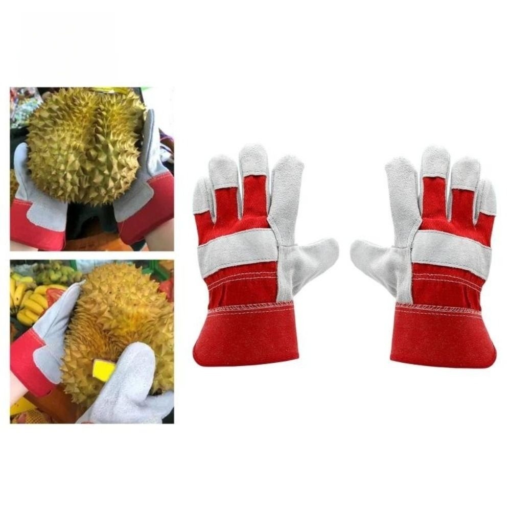 Cut Resistant Glove - ถุงมือทำสวนหนังวัว ถุงมือเชื่อมทนความร้อน ถุงมือเชื่อมป้องกันหนาม ถุงมือเสริมฝ่ามือป้องกันการบาด