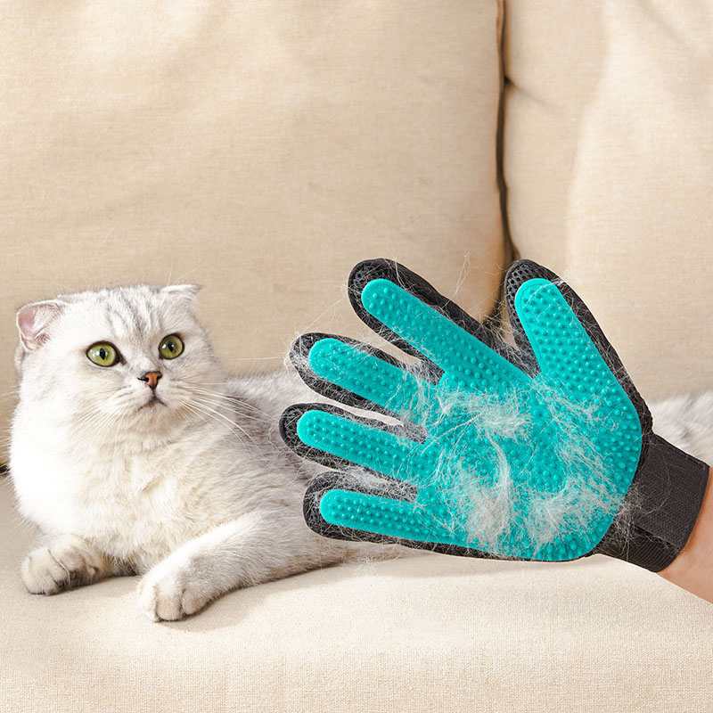 ถุงมือสำหรับกรูมมิ่งสัตว์เลี้ย - Rubber Glove Cleaning บทวิจารณ์และราคา