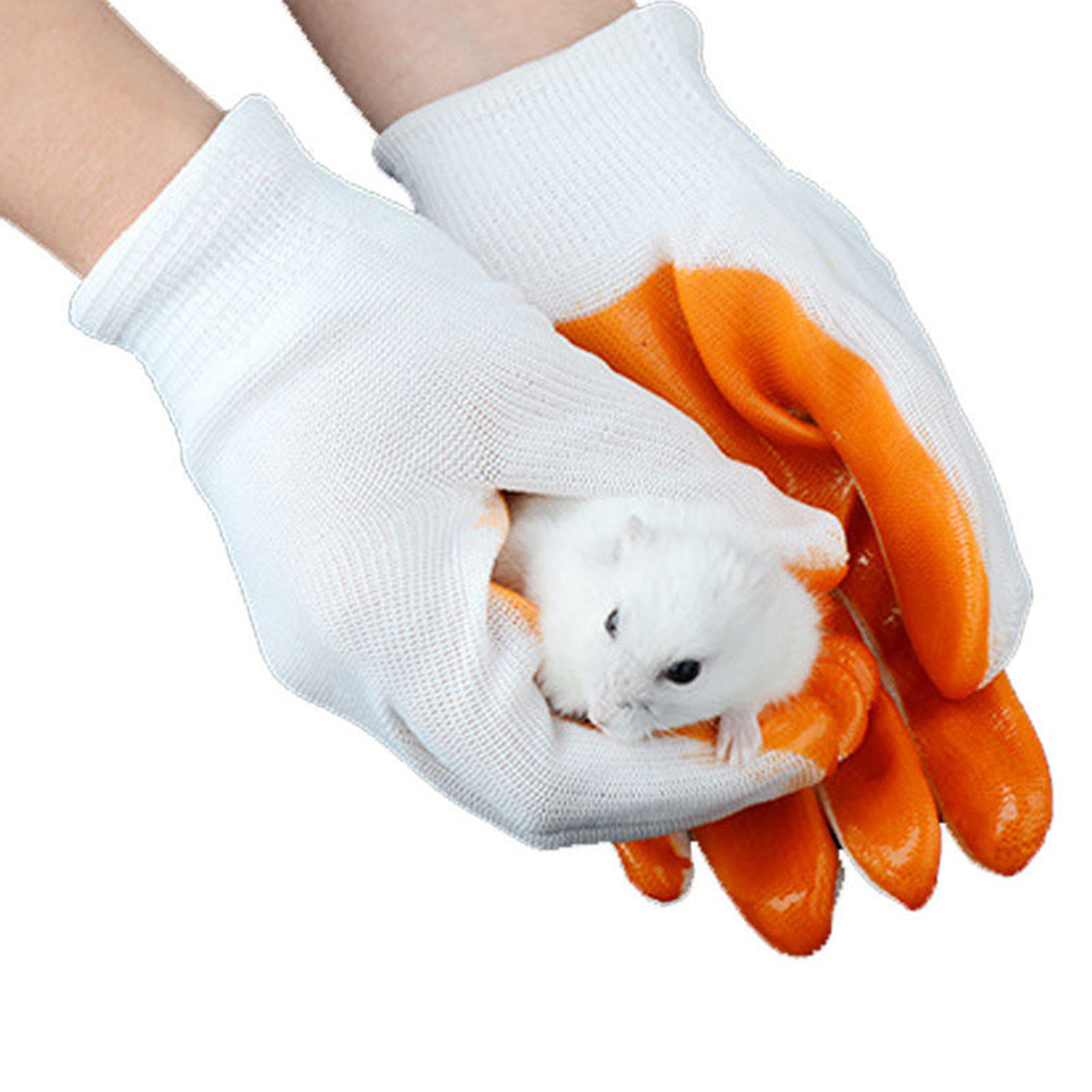 ถุงมือป้องกันสัตว์ 1 คู่ ป้องก - Cut Resistant Glove บทวิจารณ์และราคา